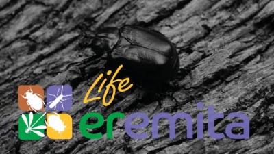 Progetto europeo Life EREMITA - immagine di coperina della serie