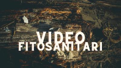 Video Fitosanitari - immagine di coperina della serie