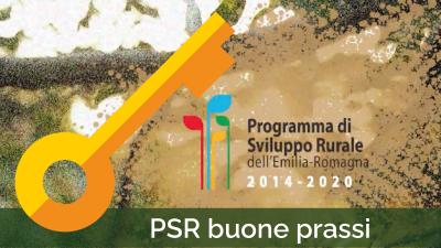 Video PSR buone prassi - immagine di coperina della serie